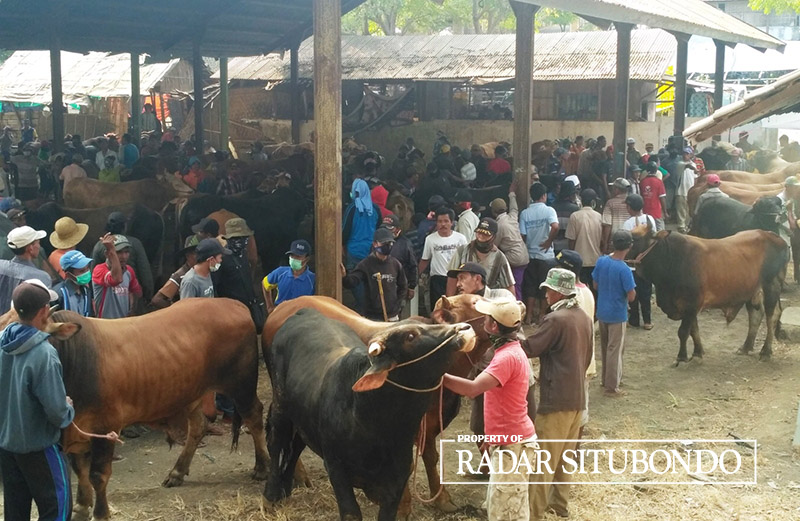 RAMAI: Warga menfaatkan fasilitas pasar hewan untuk menjual ternak sapi kepada pedagang di Pasar Hewan Sabtuan, di Desa Sumberkolak, Kecamatan Panarukan, Situbondo.
