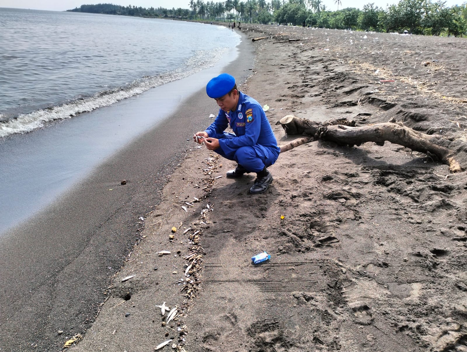 Anggota Satpolairud Polres Situbondo mengecek ikan-ikan yang mati usai adanya puting beliung. (Khoirul Rizal/RadarSitubondo.id)