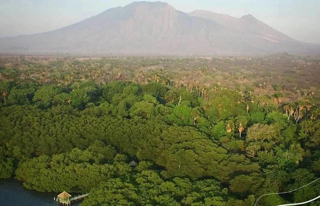 Potret Taman Nasional Baluran dari atas ketinggian. (ig @kementerianlhk)