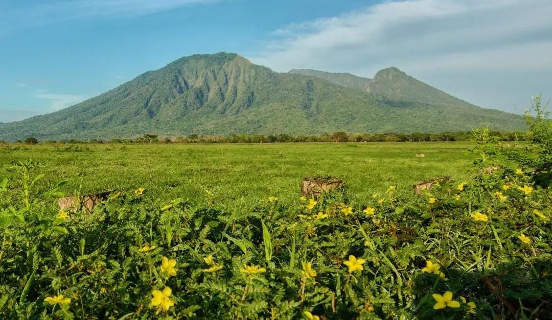 Pemandangan TN Baluran. (ig @btn_baluran)