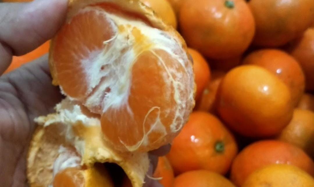 Buah jeruk salah satu buah yang direkomendasikan untuk diet. (Khoirul Rizal/RadarSitubondo.id)