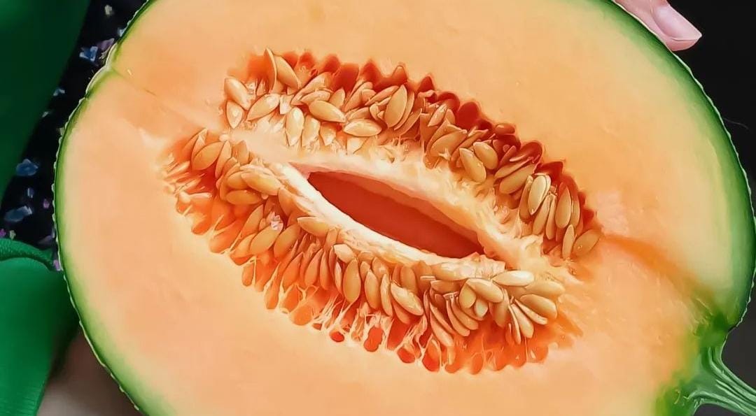 Ilustrasi buah melon. (Khoirul Rizal/RadarSitubondo.id)