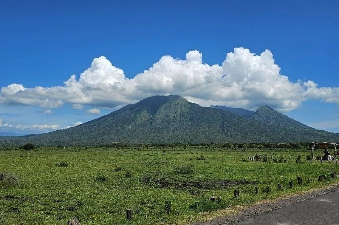 Pemandangan kawasan TN Baluran Situbondo. (Khoirul Rizal/RadarSitubondo.id)