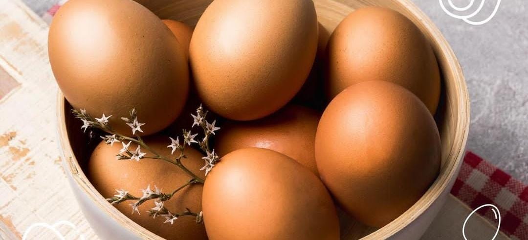 Ilustrasi telur. (ig @gizitelur)