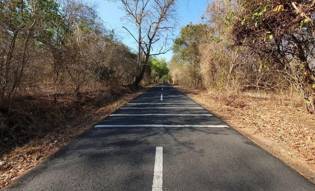 Salah satu jalan di TN Baluran Situbondo. (Khoirul Rizal/RadarSitubondo.id)