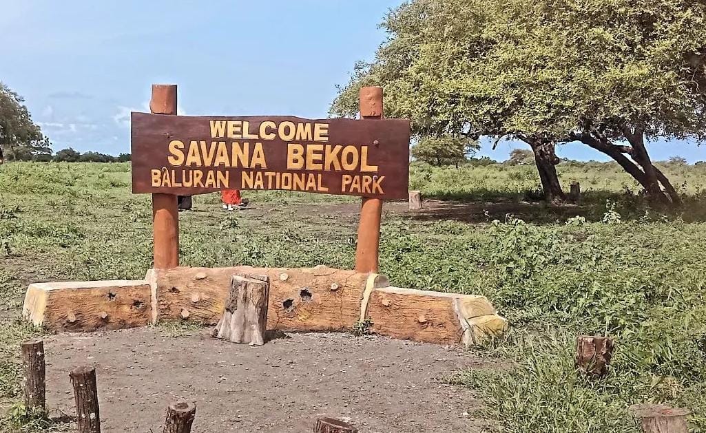 TN Baluran Situbondo. (Khoirul Rizal/RadarSitubondo.id)