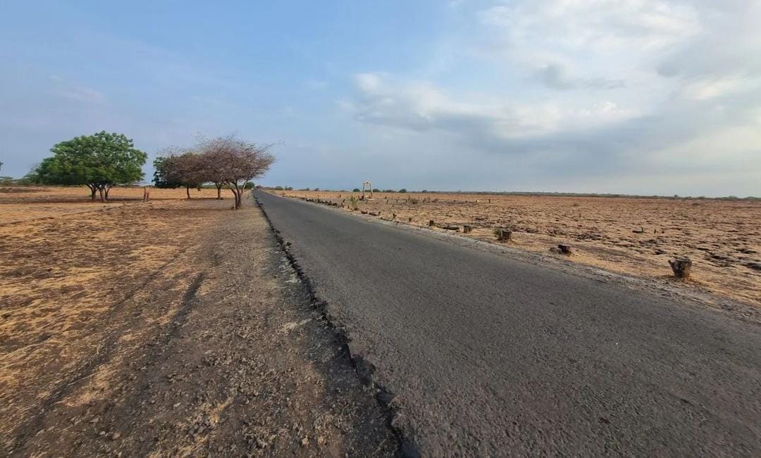 TN Baluran Situbondo. (Khoirul Rizal/RadarSitubondo.id)