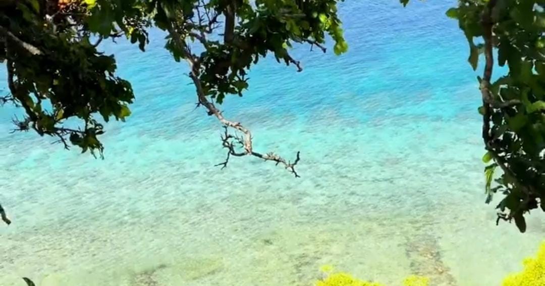 Salah satu sudut Pantai Batu Hitam Baluran Situbondo. (Khoirul Rizal/RadarSitubondo.id)