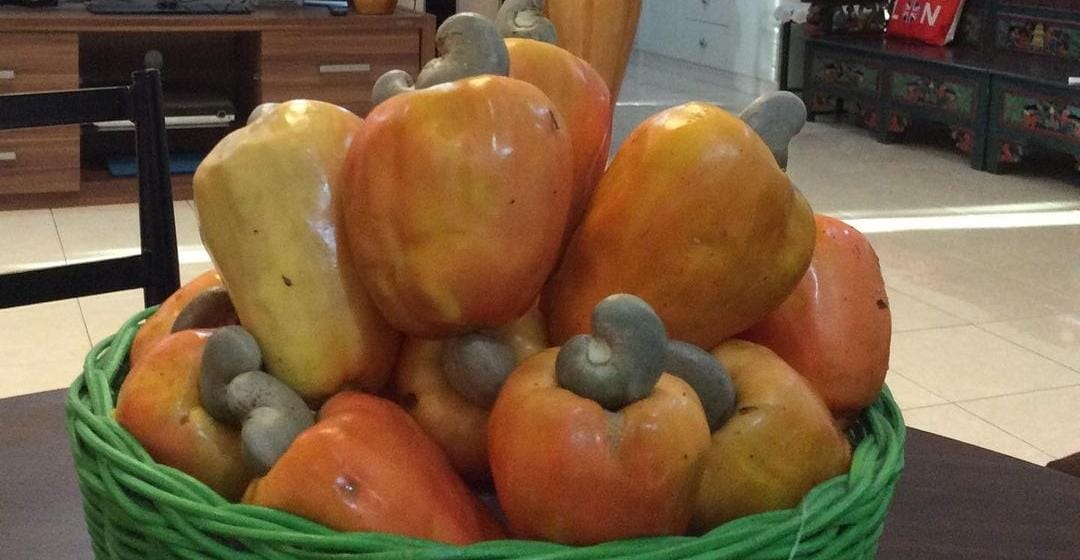 Buah Jambu Mete atau Jambu Monyet. (Khoirul Rizal/RadarSitubondo.id)