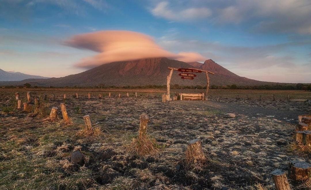 Savana Bekol Taman Nasional Baluran Situbondo. (Khoirul Rizal/RadarSitubondo.id)
