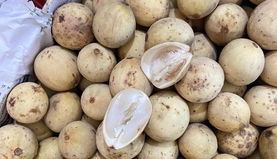 Buah duku. (Khoirul Rizal/RadarSitubondo.id)