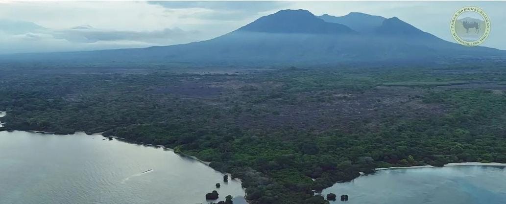 TN Baluran dari atas ketinggian. (ig @btn_baluran)