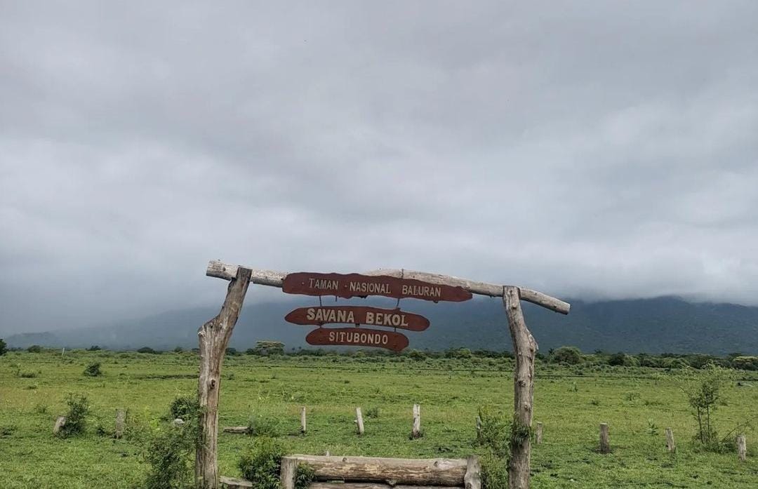 Taman Nasional Baluran Situbondo. (Khoirul Rizal/RadarSitubondo.id)