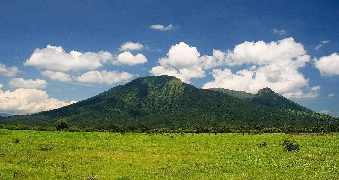 Pemandangan savana dan Gunung Baluran. (ig @kementrianlhk)