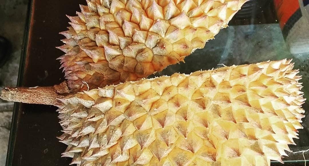 Kulit durian. (Khoirul Rizal/RadarSitubondo.id)