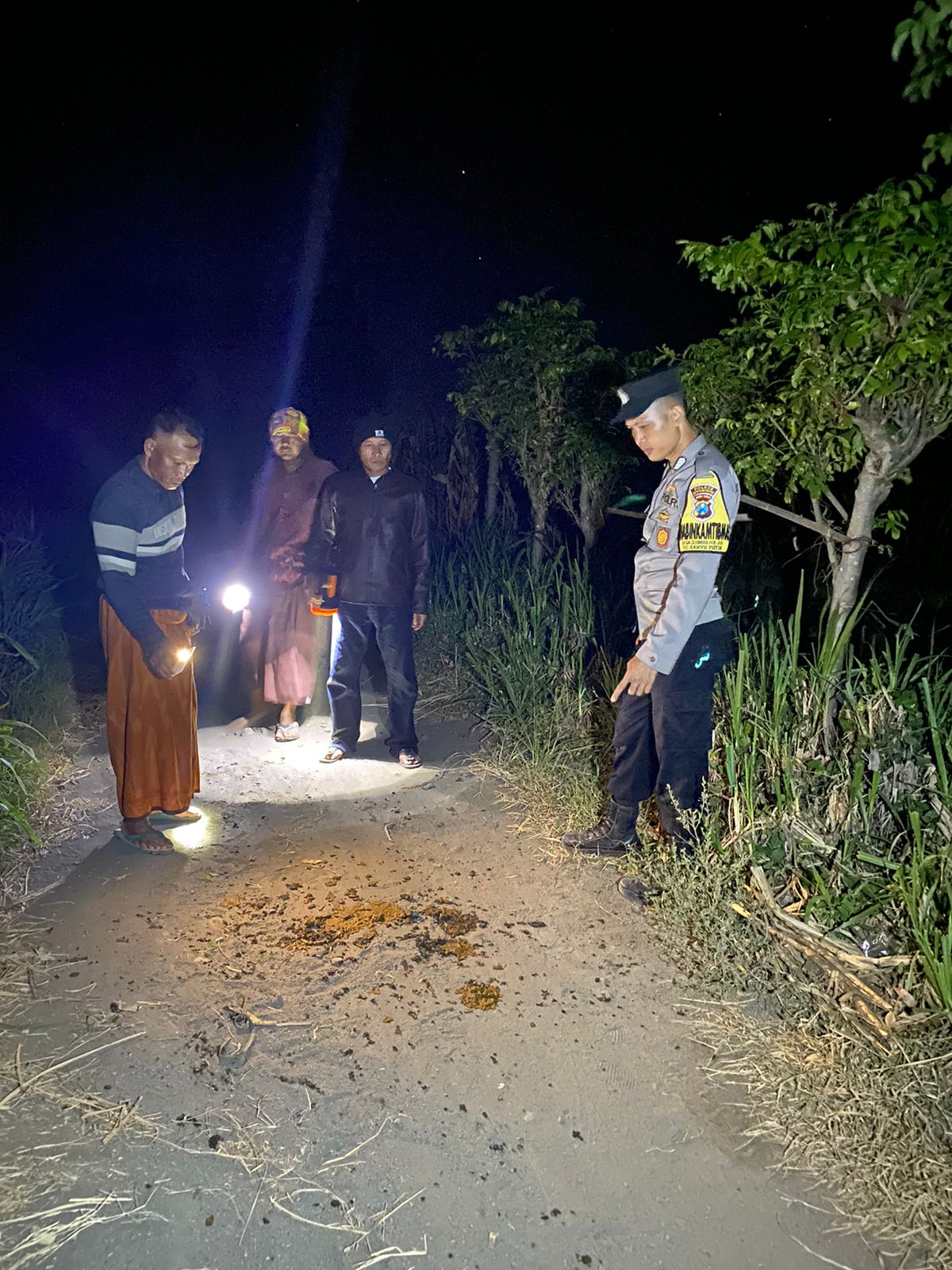 GERAK CEPAT: Anggota Polsek Banyuputih meninjau jejak dua ekor sapi milik Tosiyono, 50, warga Dusun Widoro Pasar, Desa/Kecamatan Banyuputih, Selasa (14/5).