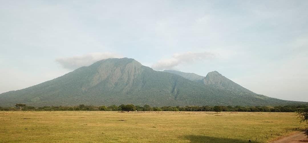 Pemandangan Gunung Baluran Situbondo. (Khoirul Rizal/RadarSitubondo.id)