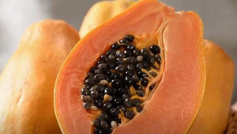 Biji buah pepaya baik untuk Kesehatan. (Khoirul Rizal/RadarSitubondo.id)