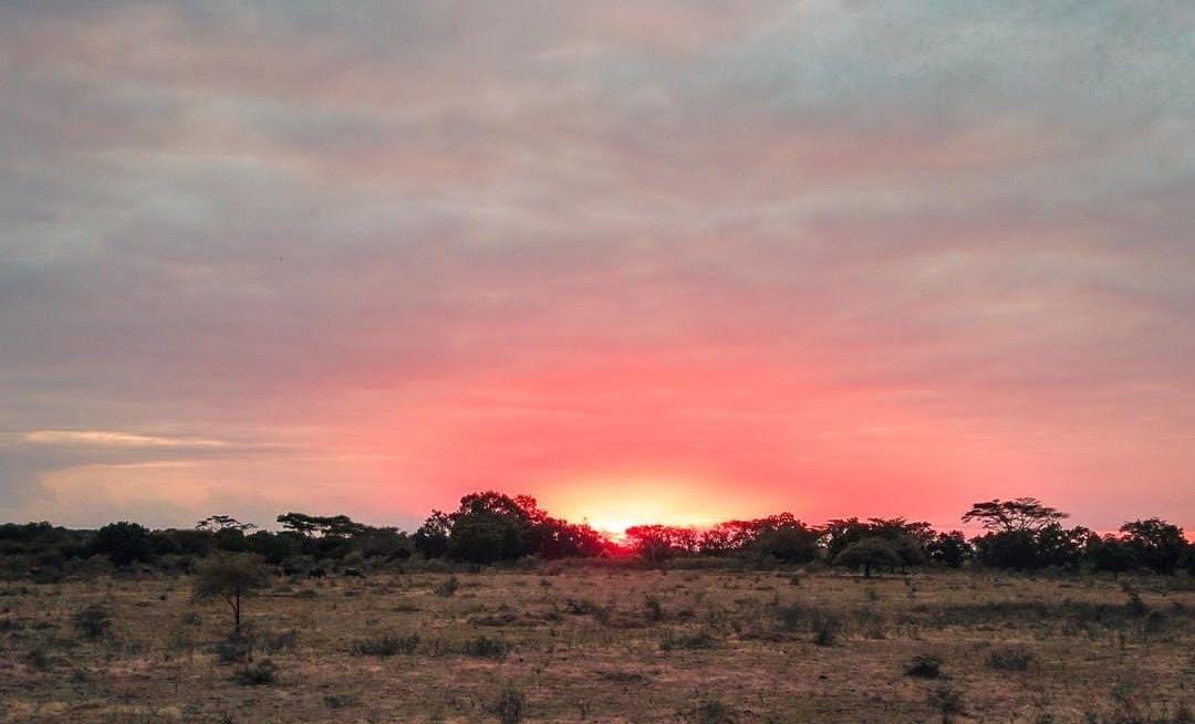 Sunrise di Baluran, Situbondo. (ig @escapeforjourney)
