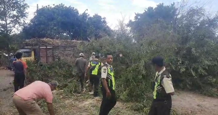 EVAKUASI: Warga memotong batang pohon asam di Jalan Pantura, Desa/Kecamatan Asembagus, Situbondo, Senin (3/6).