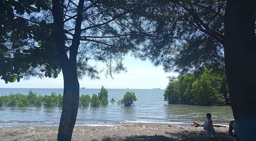Pantai Cemara Indah, Desa Duwet, Panarukan, Situbondo. (Khoirul Rizal/RadarSitubondo.id)
