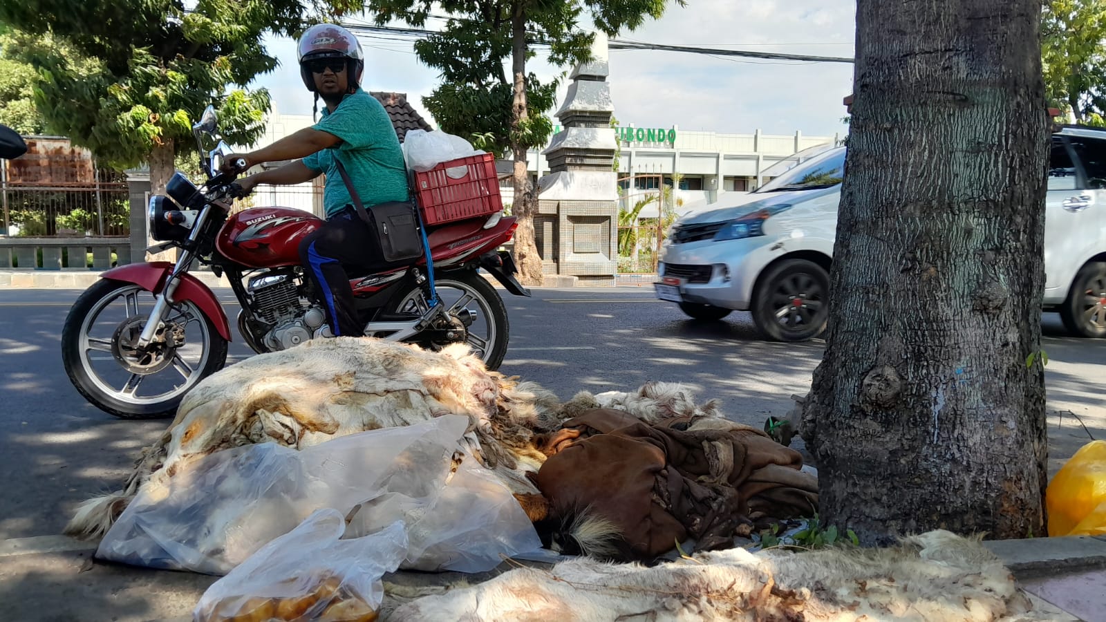 DIRAPIKAN: Salah satu pengepul kulit sapi dan kambing merapikan tumpukan kulit di pinggir jalan raya, depan kantor Pemerintah Kabupaten (Pemkab) Situbondo, Senin (17/6).