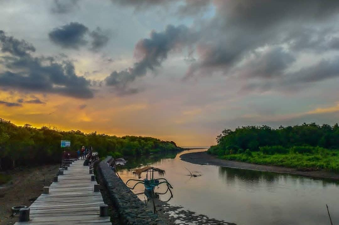 Wisata Kampung Blekok Situbondo.