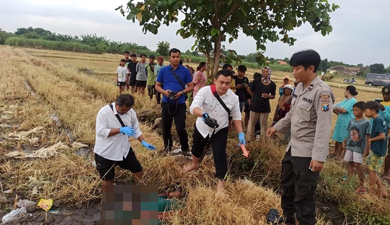 PENEMUAN MAYAT: Tim Inafis Polres Situbondo mengevakuasi jenazah  Surono, 50, di persawahan Desa Wringinanom, Kecamatan Panarukan Senin lalu (24/6) sekitar pukul 14.30 WIB.