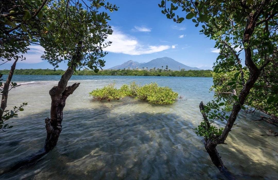 Pantai Bilik di Baluran, Situbondo.