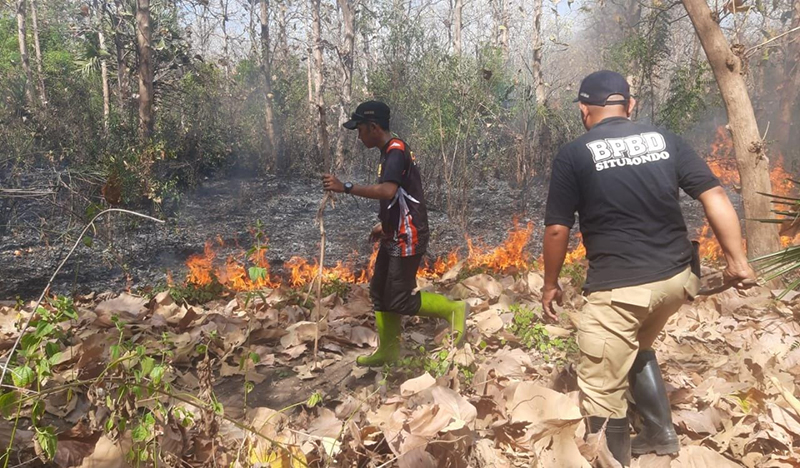 TIM GABUNGAN: Anggota Polsek Arjasa dan tim pemadam kebakaran Kabupaten Situbondo melakukan pemadaman api di Petak 29b, Dusun Tanggulun, Desa Lamongan, Kecamatan Arjasa, Kamis (11/7).
