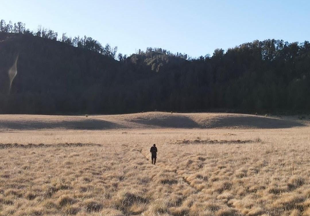 Gunung Argopuro berada di perbatasan Probolinggo, Situbondo, Jember, dan Bondowoso.