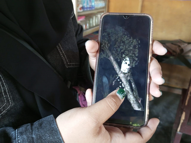 VIRAL: Penampakan pocong di atas pohon cerme di pemukiman warga Desa Sumberkolak, Kecamatan Panarukan, Situbondo, Selasa pagi (16/7).