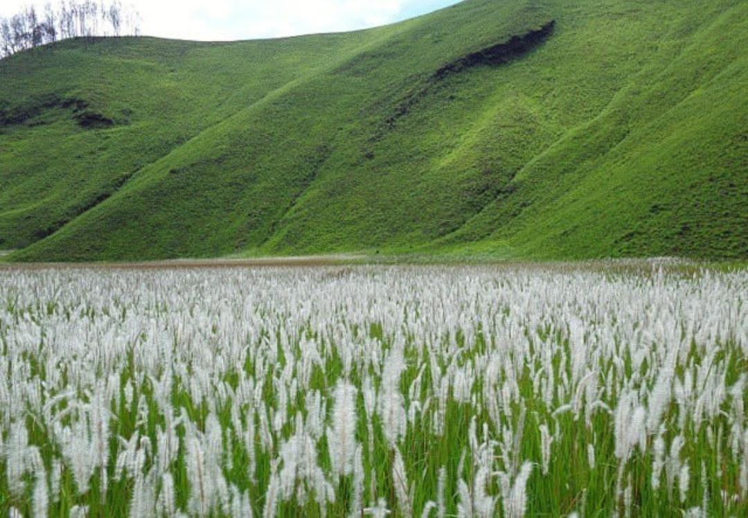 Pemandangan Kawah Ilalang.