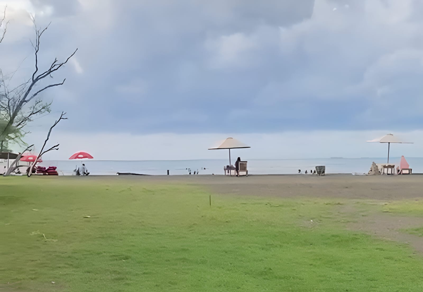 Pemandangan di Beach Forest Situbondo.