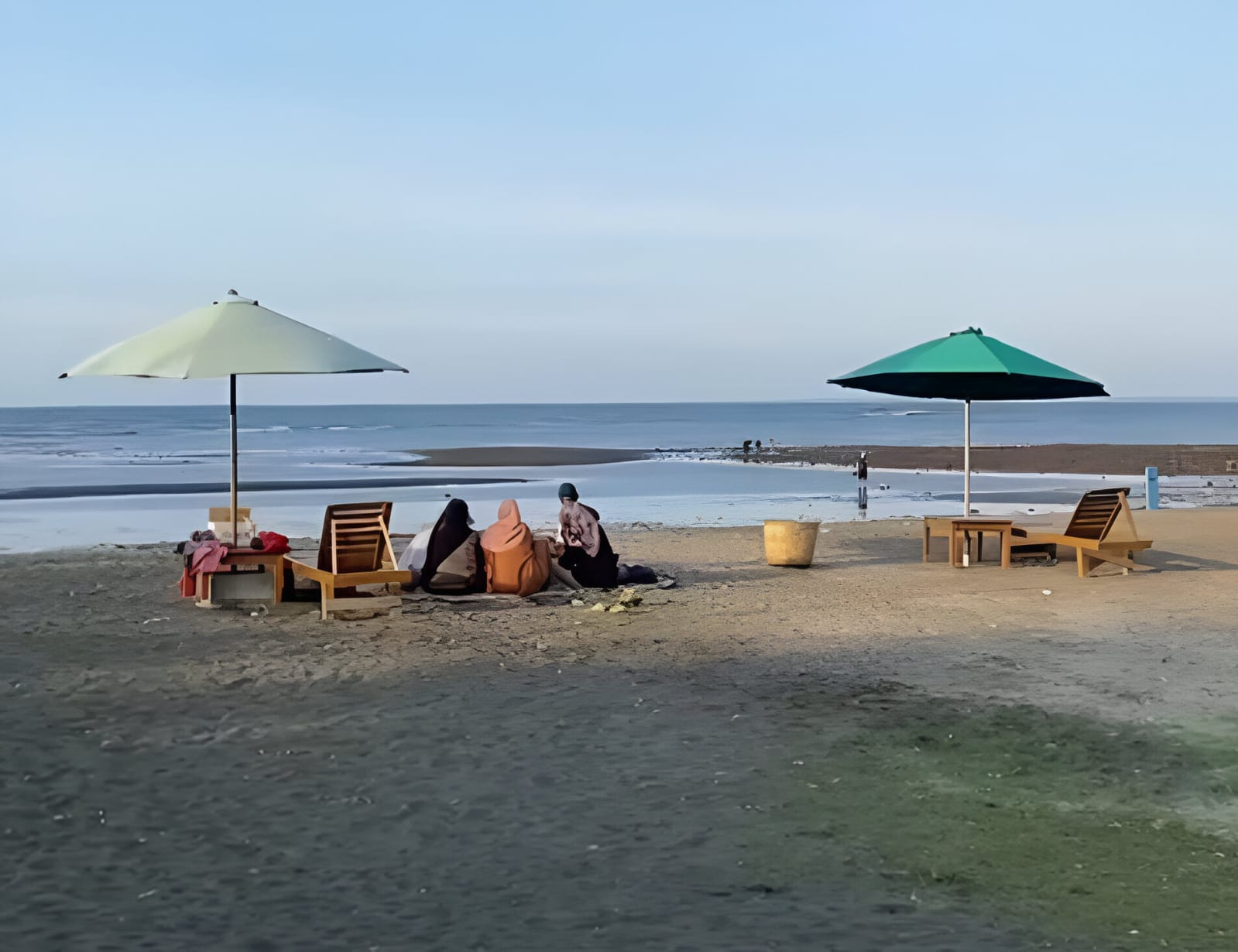 Beach Forest Situbondo.