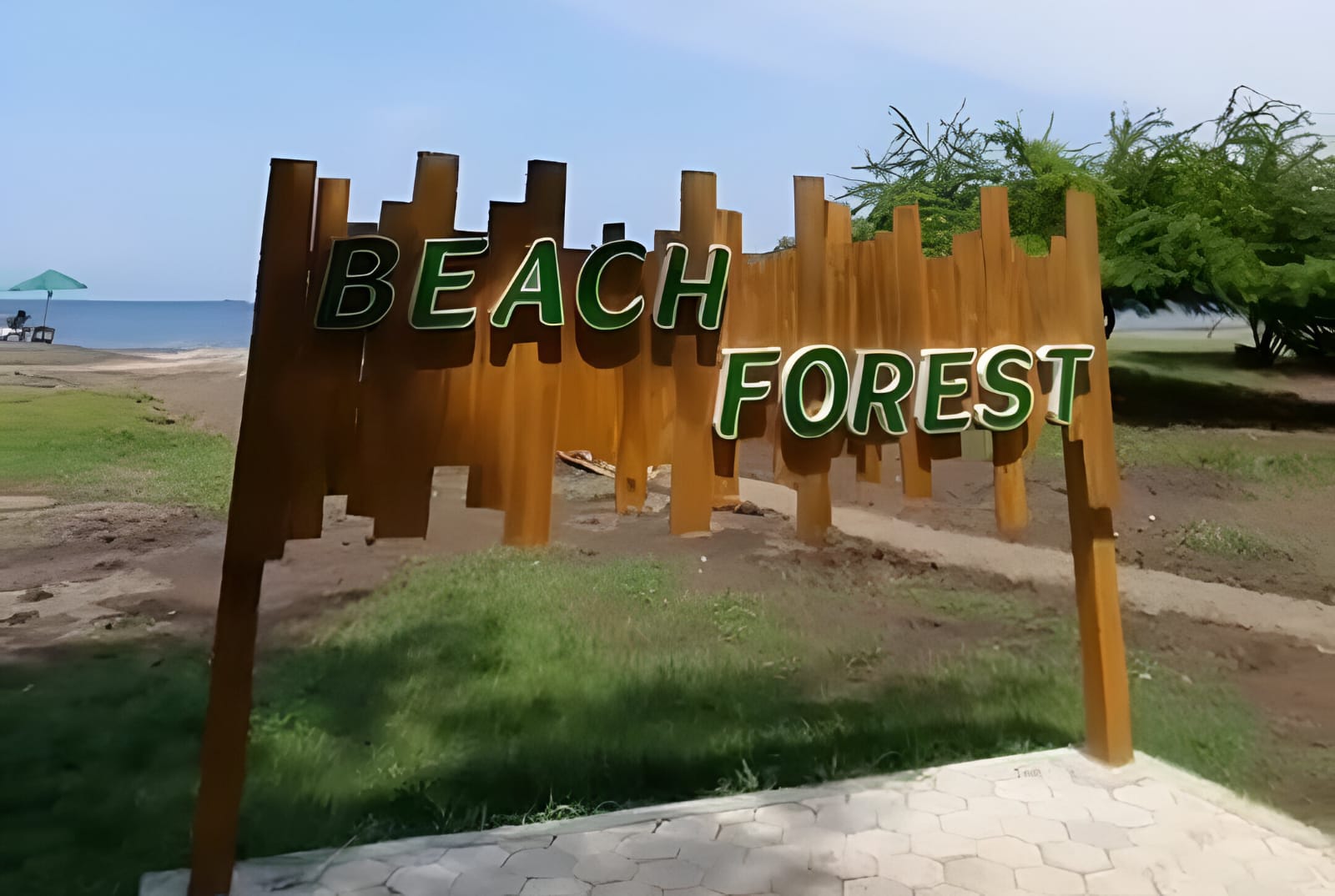 Area wisata Beach Forest Situbondo.