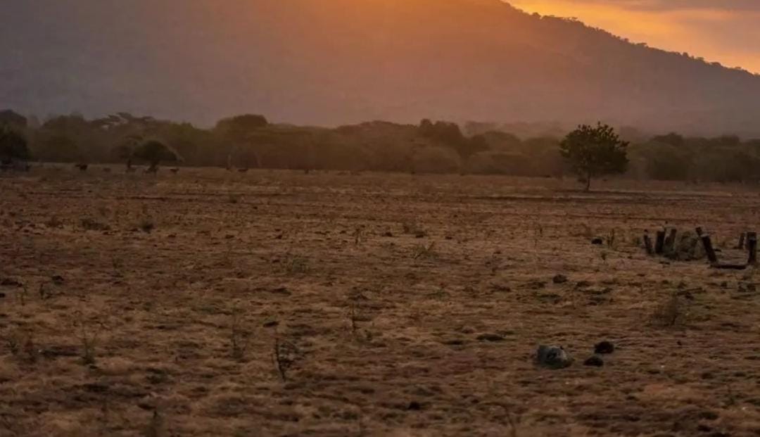 TN Baluran Situbondo. (Khoirul Rizal/RadarSitubondo.id)