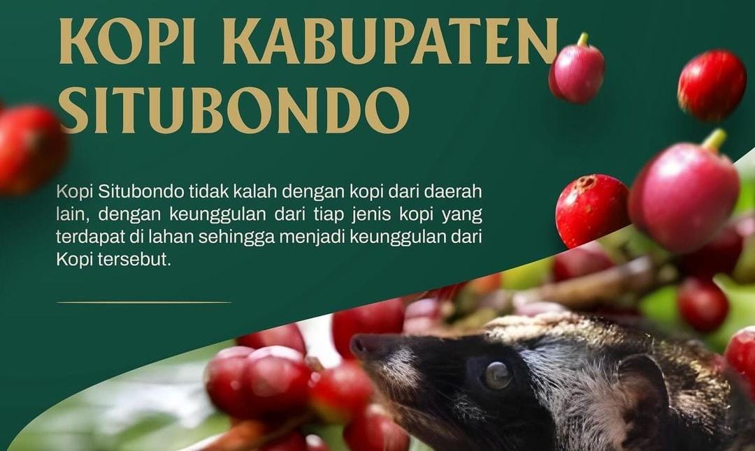 Kopi unggulan Situbondo. (ig @situbondokab)