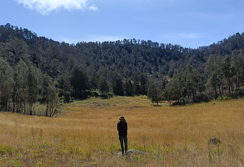 PADANG SAVANA: Seorang pendaki mengabadikan momen di kawasan pendakian Gunung Argopuro, Kecamatan Sumbermalang, Situbondo, belum lama ini.