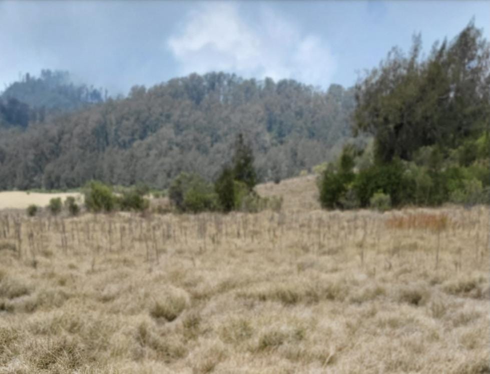 Cikasur Gunung Argopuro Situbondo. (Khoirul Rizal/RadarSitubondo.id)