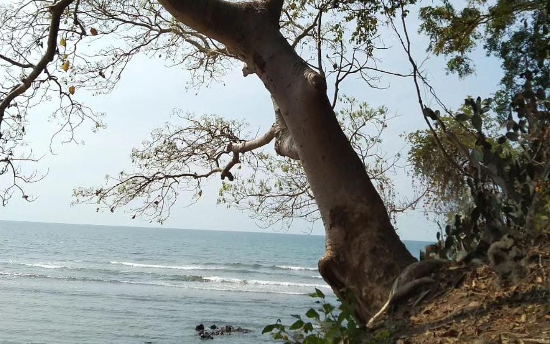 Pantai Tampora Situbondo. (Khoirul Rizal/RadarSitubondo.id)