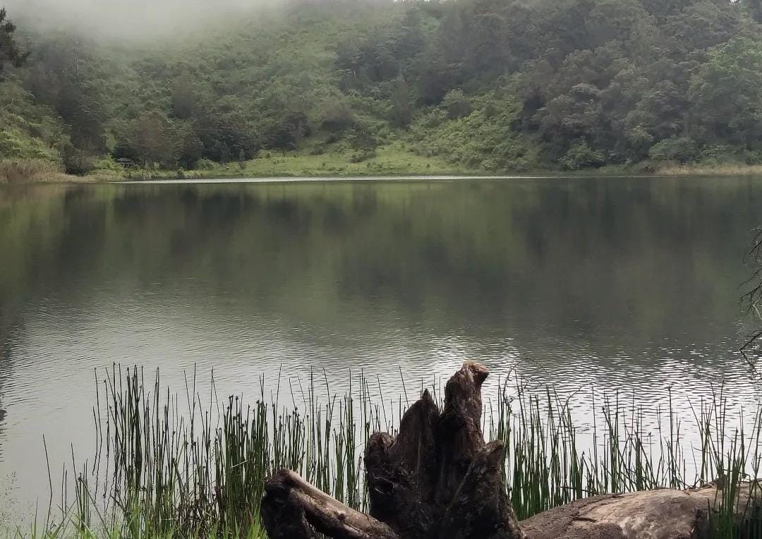 Ranu Regulo. (ig resmi @ranuregulo.official)