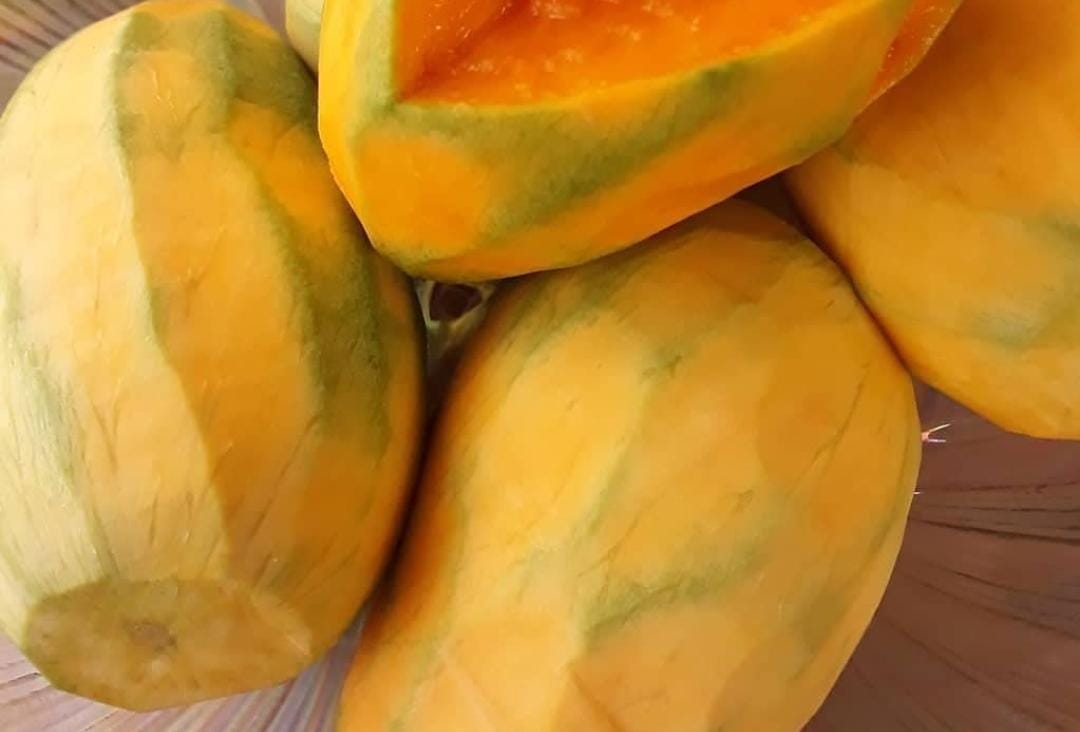 Buah mangga. (Khoirul Rizal/RadarBanyuwangi.id)