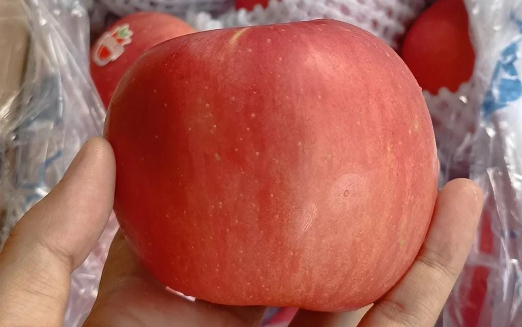 Buah apel. (Khoirul Rizal/RadarSitubondo.id)