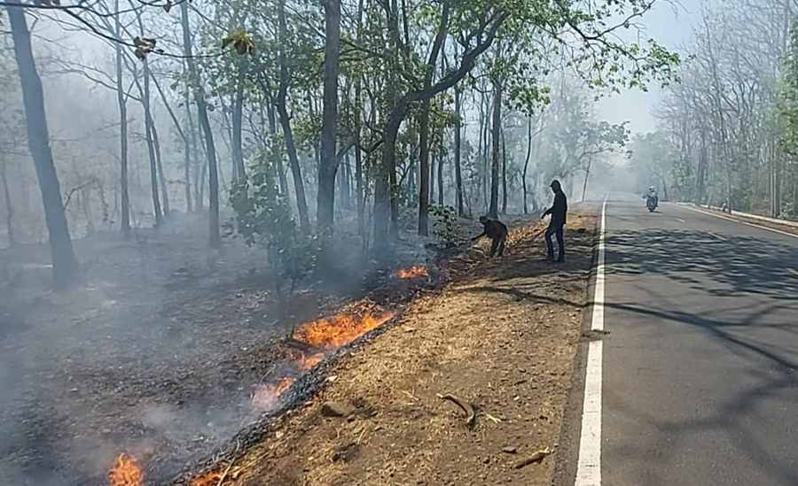 PENUH ASAP: Pengendara menerobos asap dampak kebakaran hutan Taman Nasional (TN) Baluran, Kecamatan Banyuputih, Situbondo, Rabu (9/10).