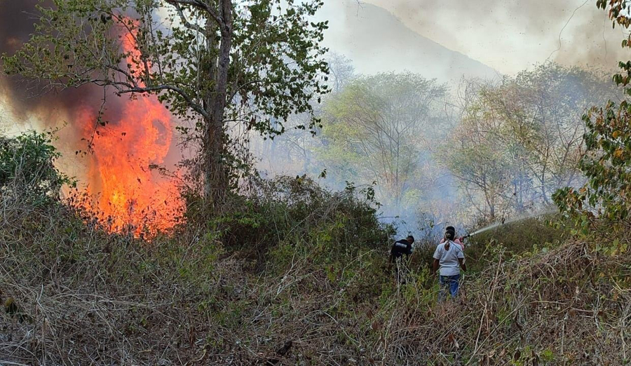 API MEMBESAR: Petugas Taman Nasional (TN) Baluran, memadamkan api di tengah hutan TN Baluran, Kamis (10/10).