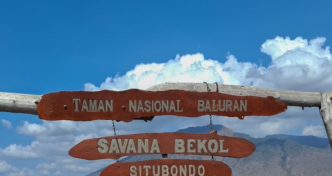 TN Baluran Situbondo. (Khoirul Rizal/RadarSitubondo.id)
