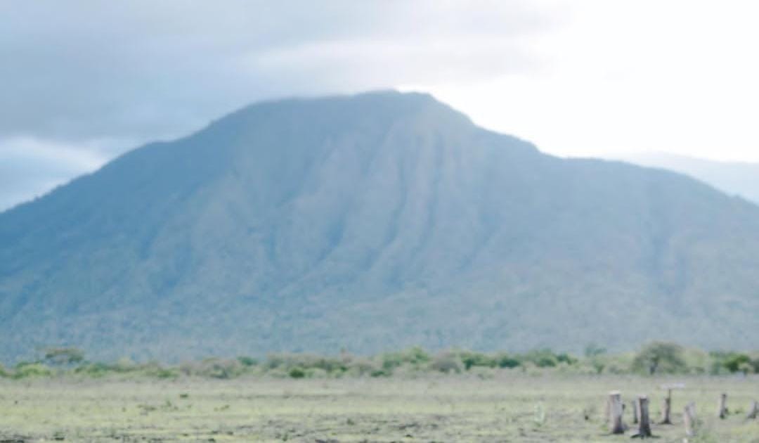 TN Baluran Situbondo. (Khoirul Rizal/RadarSitubondo.id)