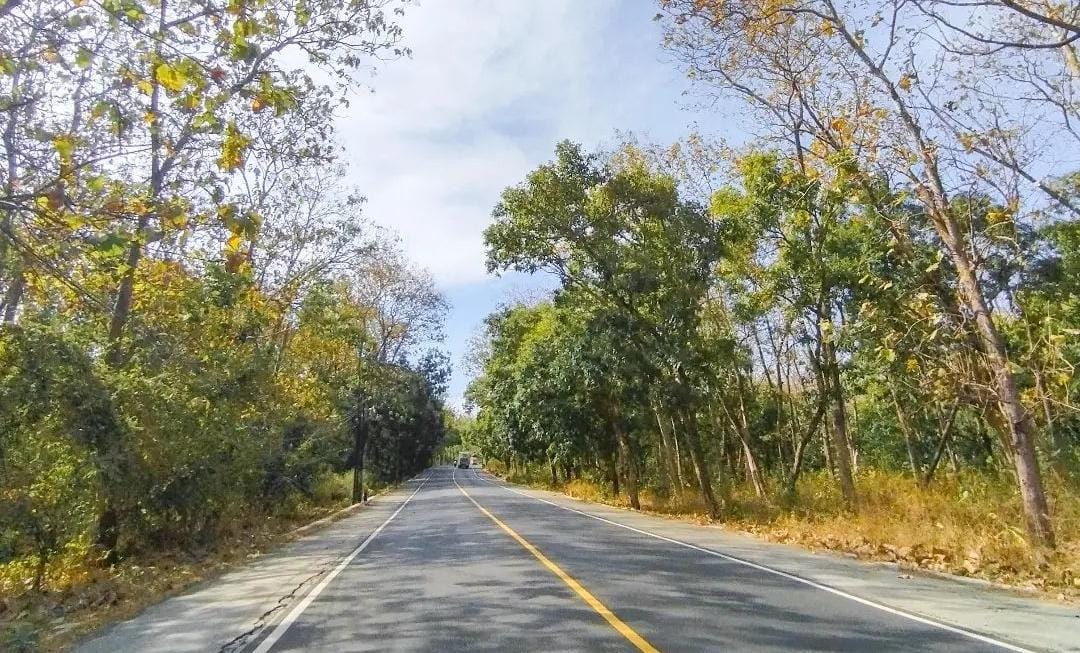 Pesona TN Baluran Situbondo. (Khoirul Rizal/RadarSitubondo.id)