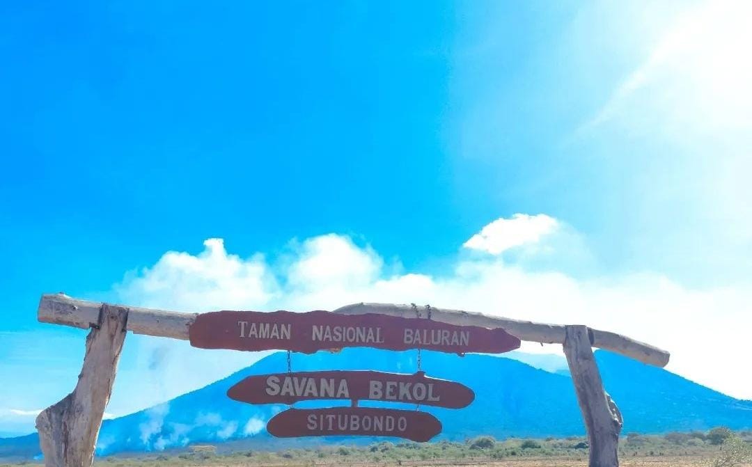 Taman Nasional Baluran Situbondo. (Khoirul Rizal/RadarSitubondo.id)
